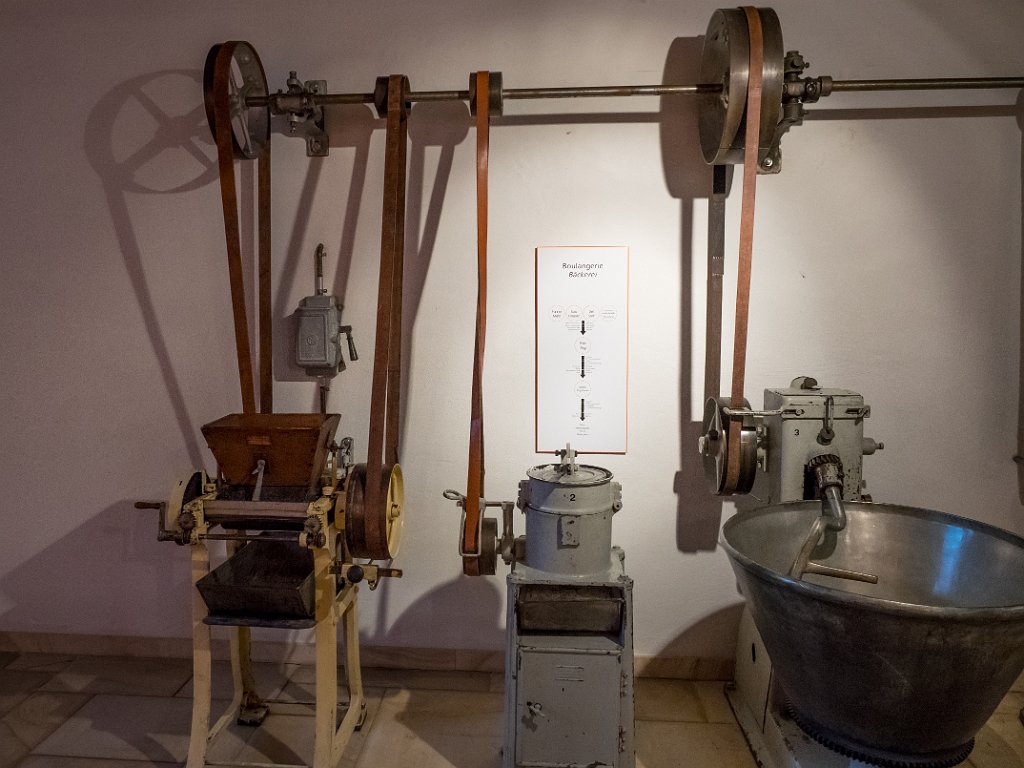 P5243544.jpg - OLYMPUS DIGITAL CAMERA