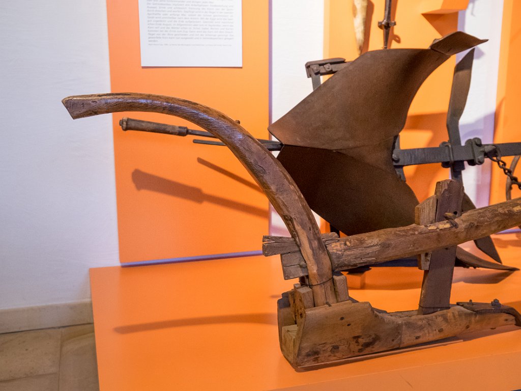 P5243550.jpg - OLYMPUS DIGITAL CAMERA