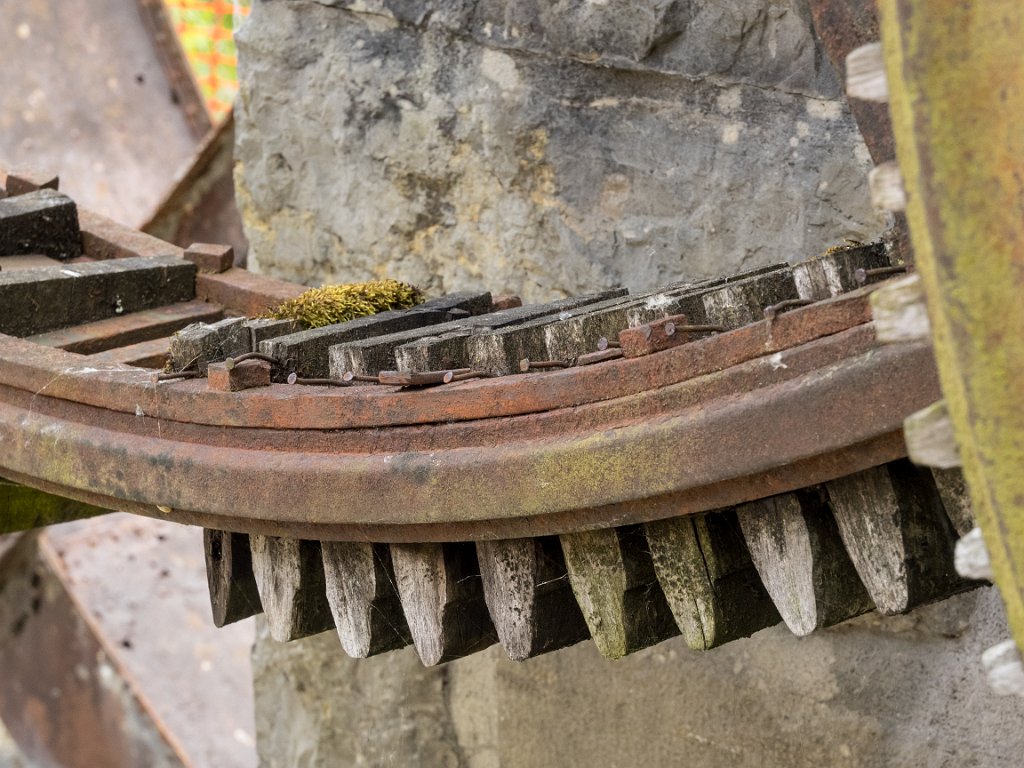 P5243580.jpg - OLYMPUS DIGITAL CAMERA