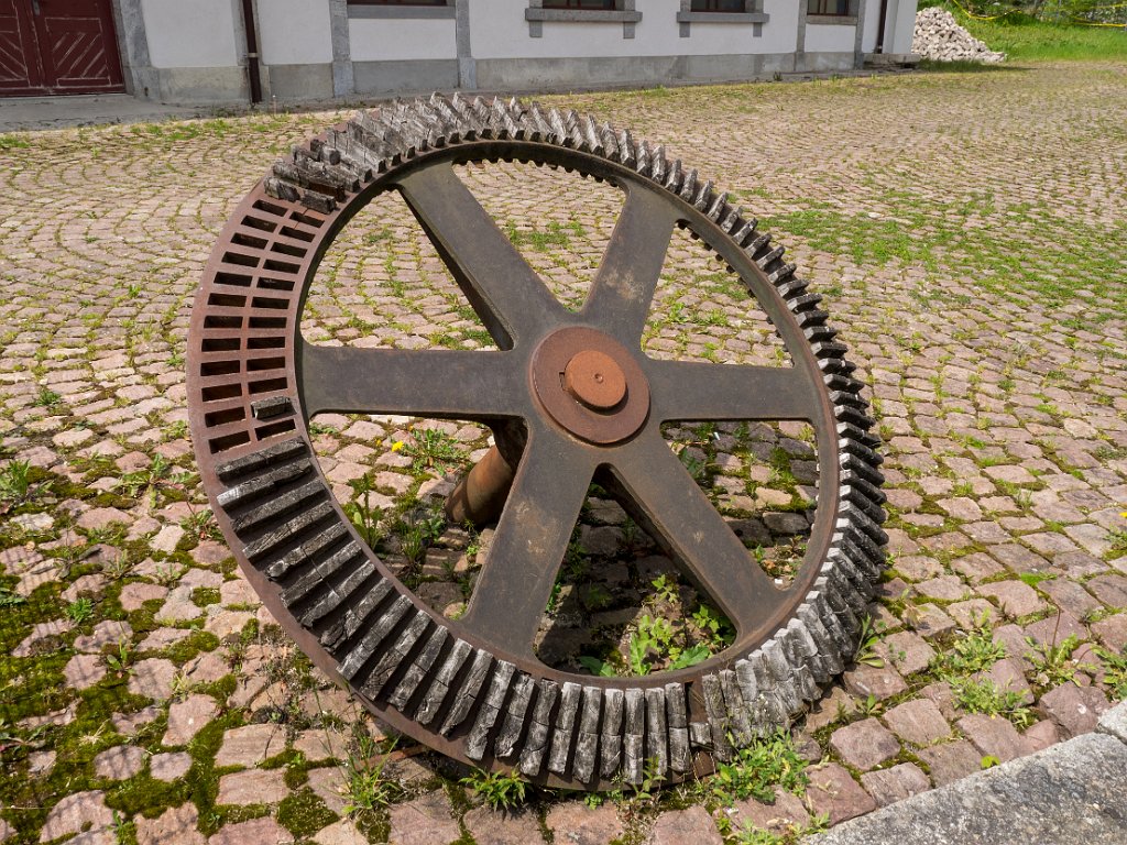 P5243584.jpg - OLYMPUS DIGITAL CAMERA