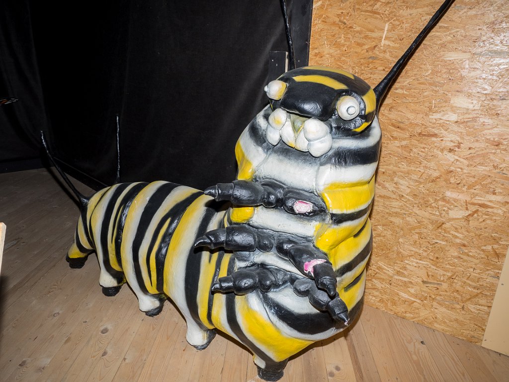 P5253707.jpg - OLYMPUS DIGITAL CAMERA