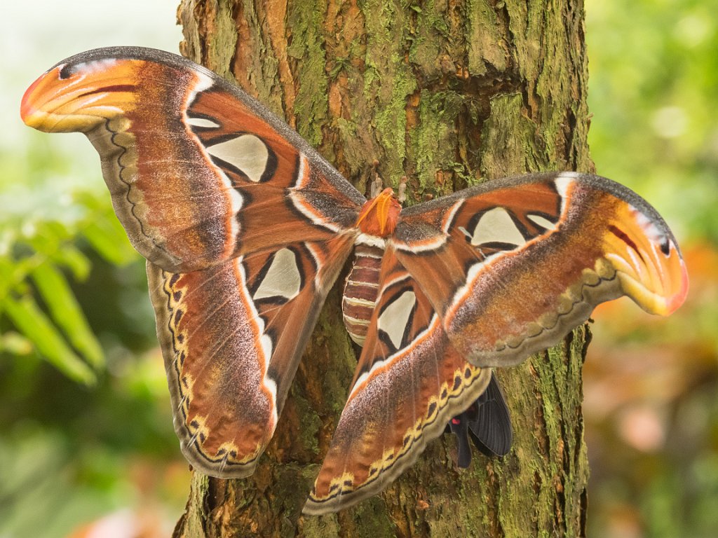 P5253828.jpg - OLYMPUS DIGITAL CAMERA