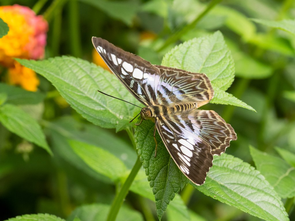 P5253953.jpg - OLYMPUS DIGITAL CAMERA