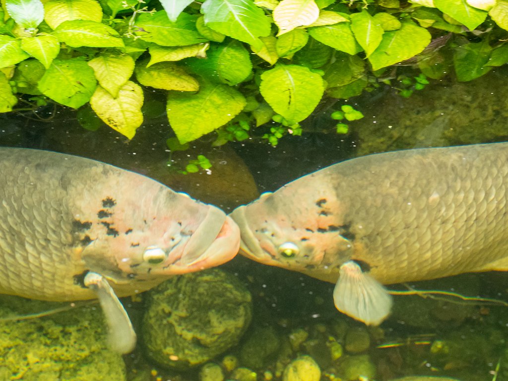 P5253988.jpg - OLYMPUS DIGITAL CAMERA