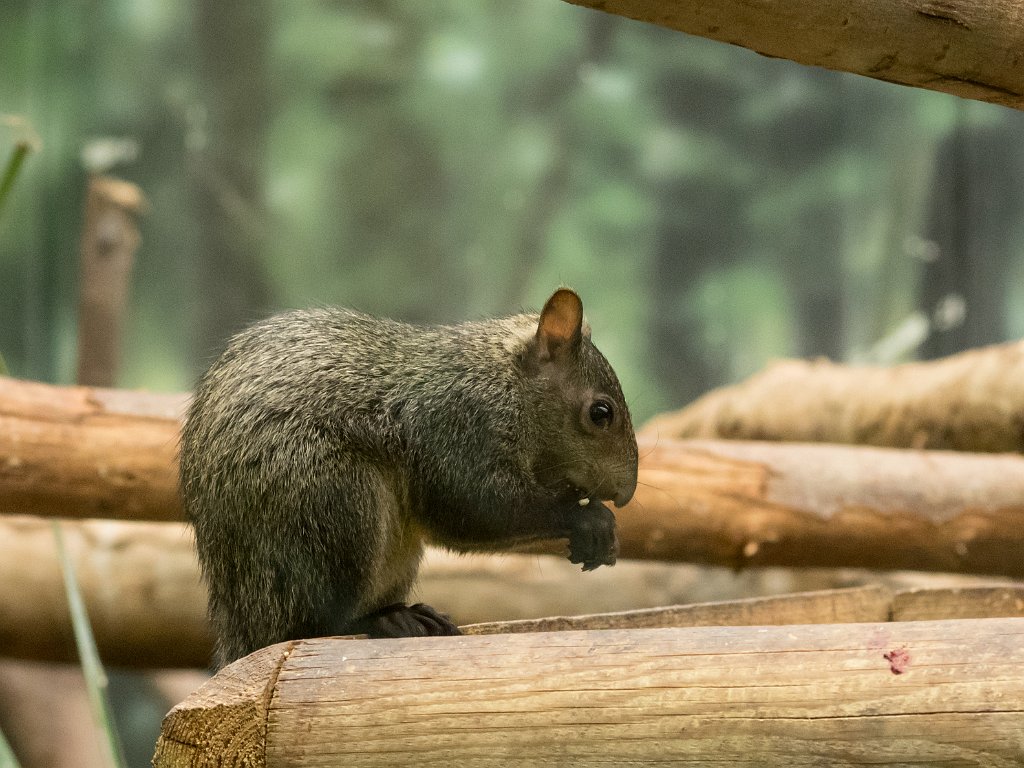 P5254056.jpg - OLYMPUS DIGITAL CAMERA