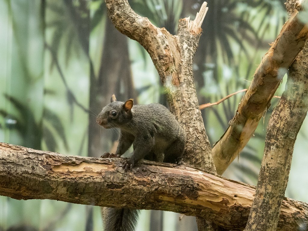 P5254057.jpg - OLYMPUS DIGITAL CAMERA