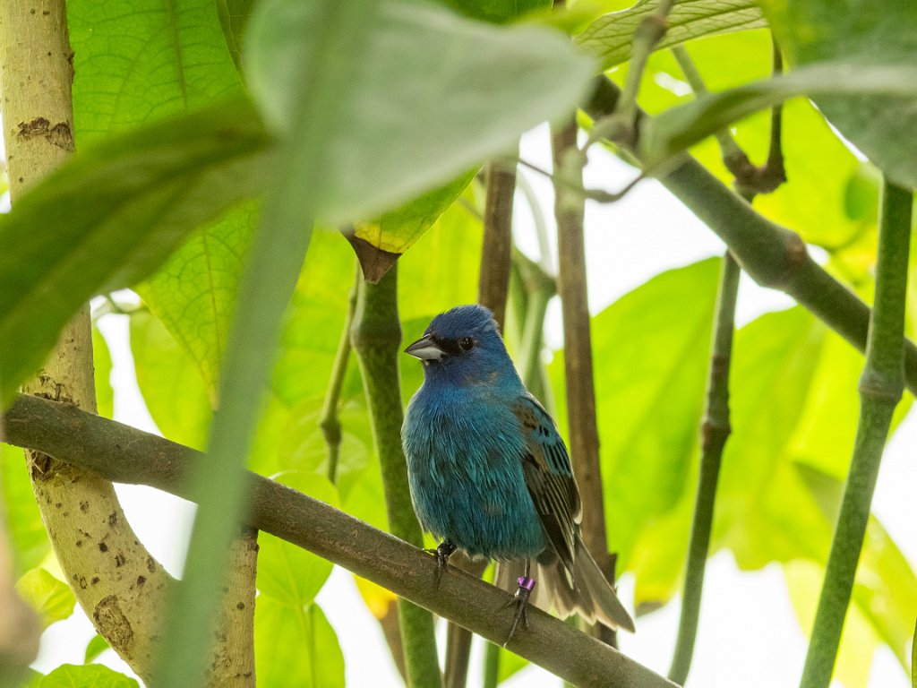 P5254060.jpg - OLYMPUS DIGITAL CAMERA