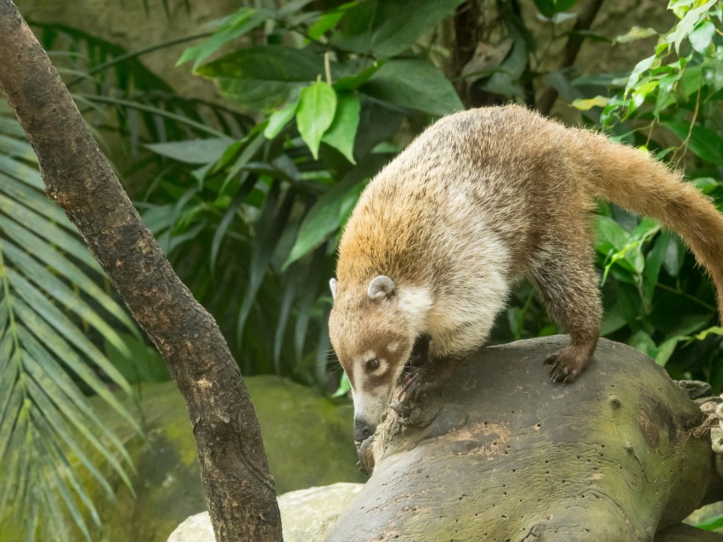 P5254071.jpg - OLYMPUS DIGITAL CAMERA