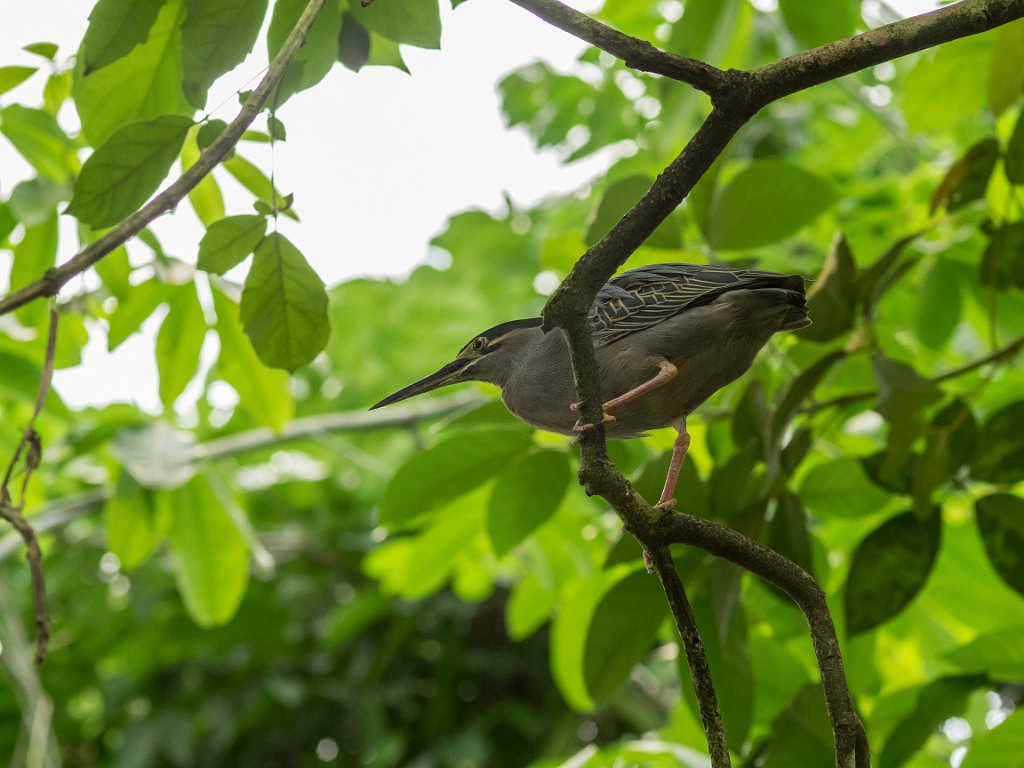 P5254082.jpg - OLYMPUS DIGITAL CAMERA