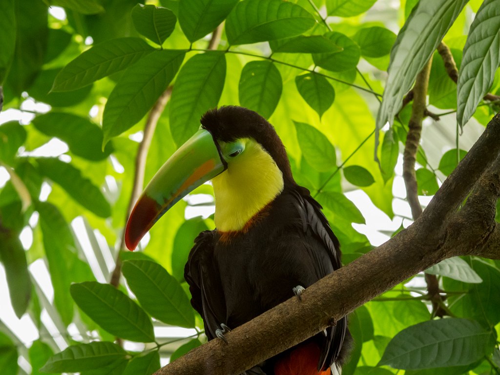 P5254105.jpg - OLYMPUS DIGITAL CAMERA