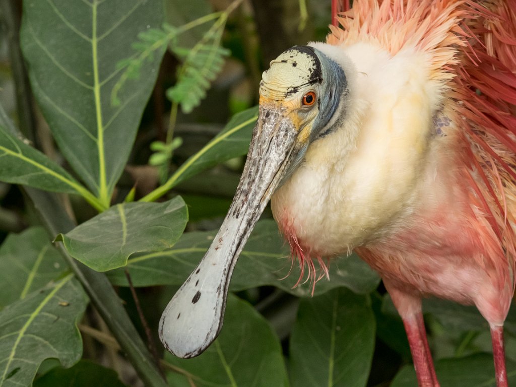 P5254127.jpg - OLYMPUS DIGITAL CAMERA