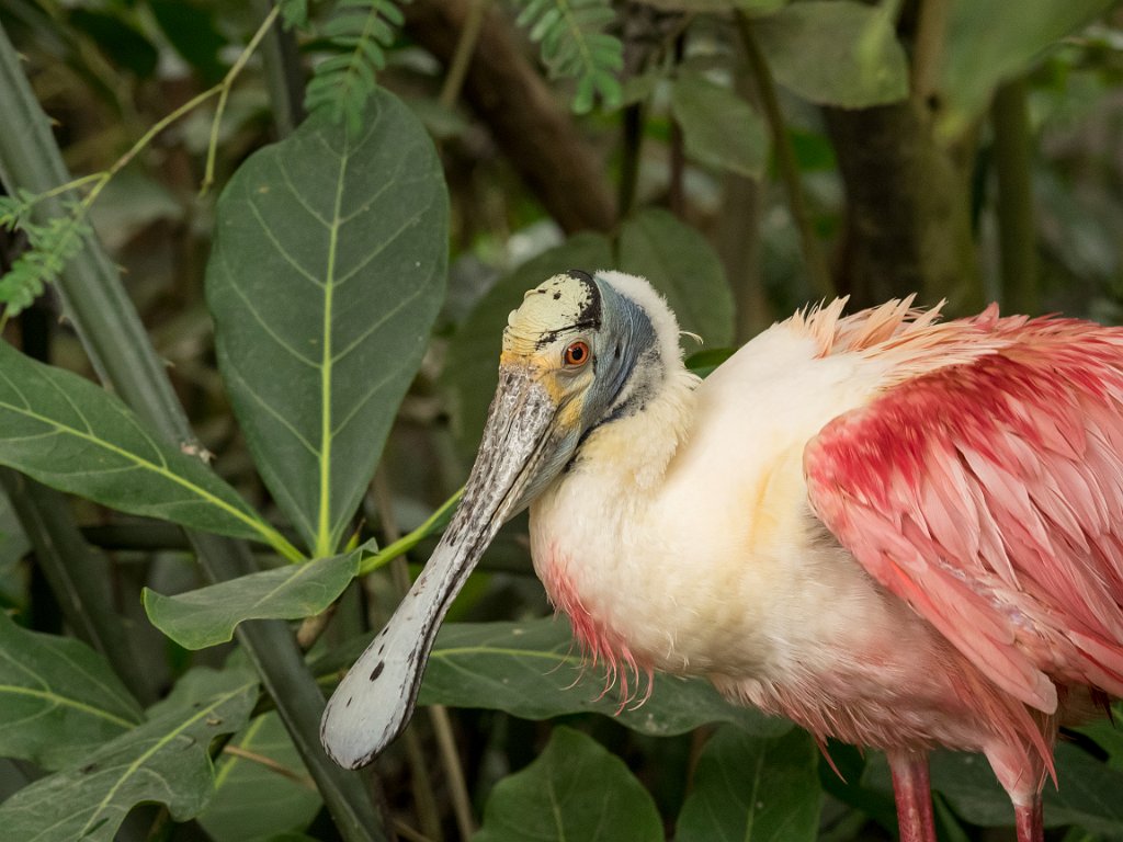 P5254134.jpg - OLYMPUS DIGITAL CAMERA