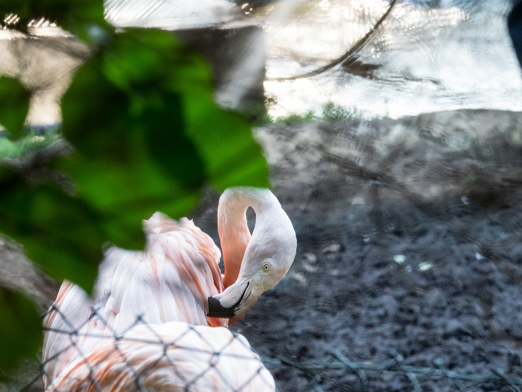 P8222071.jpg - OLYMPUS DIGITAL CAMERA