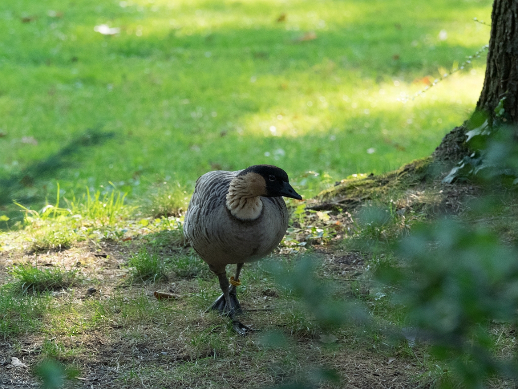 P8222083.jpg - OLYMPUS DIGITAL CAMERA