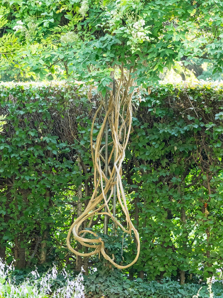 P8222091.jpg - OLYMPUS DIGITAL CAMERA