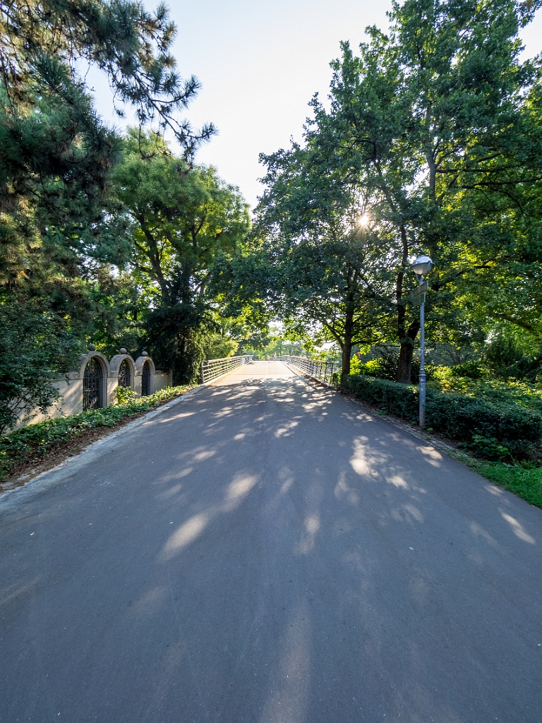 P8222094.jpg - OLYMPUS DIGITAL CAMERA