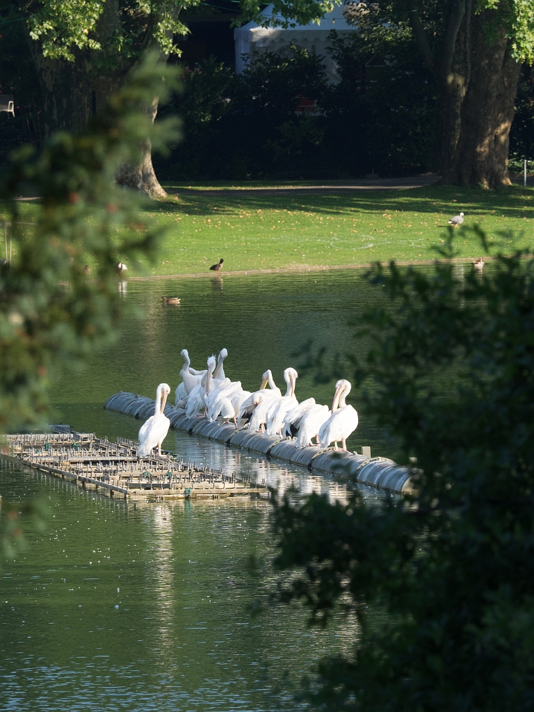 P8222100.jpg - OLYMPUS DIGITAL CAMERA