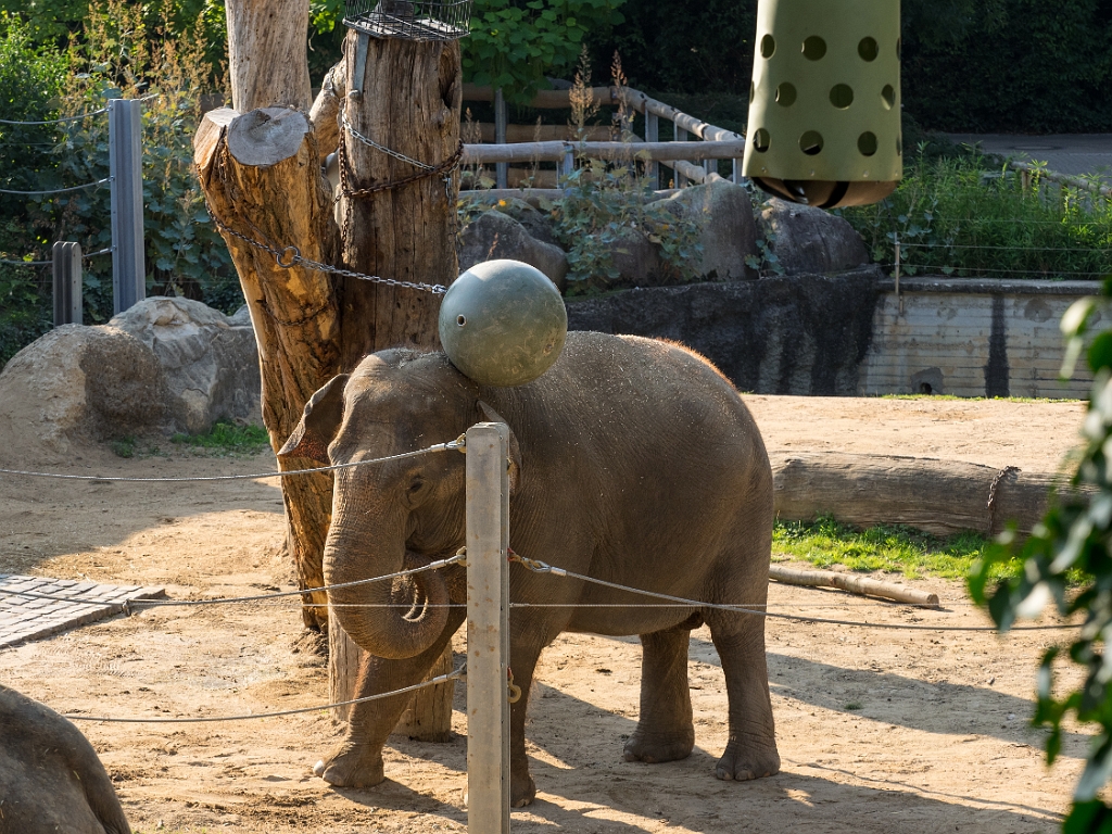 P8222126.jpg - OLYMPUS DIGITAL CAMERA