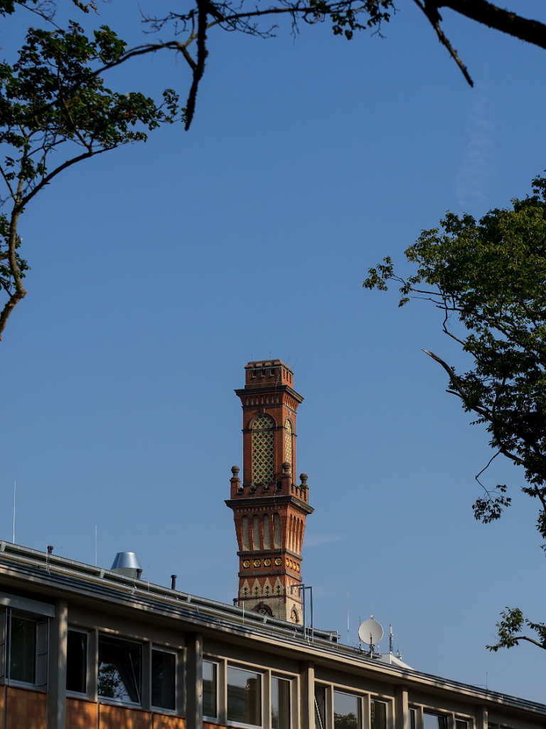 P8222136.jpg - OLYMPUS DIGITAL CAMERA