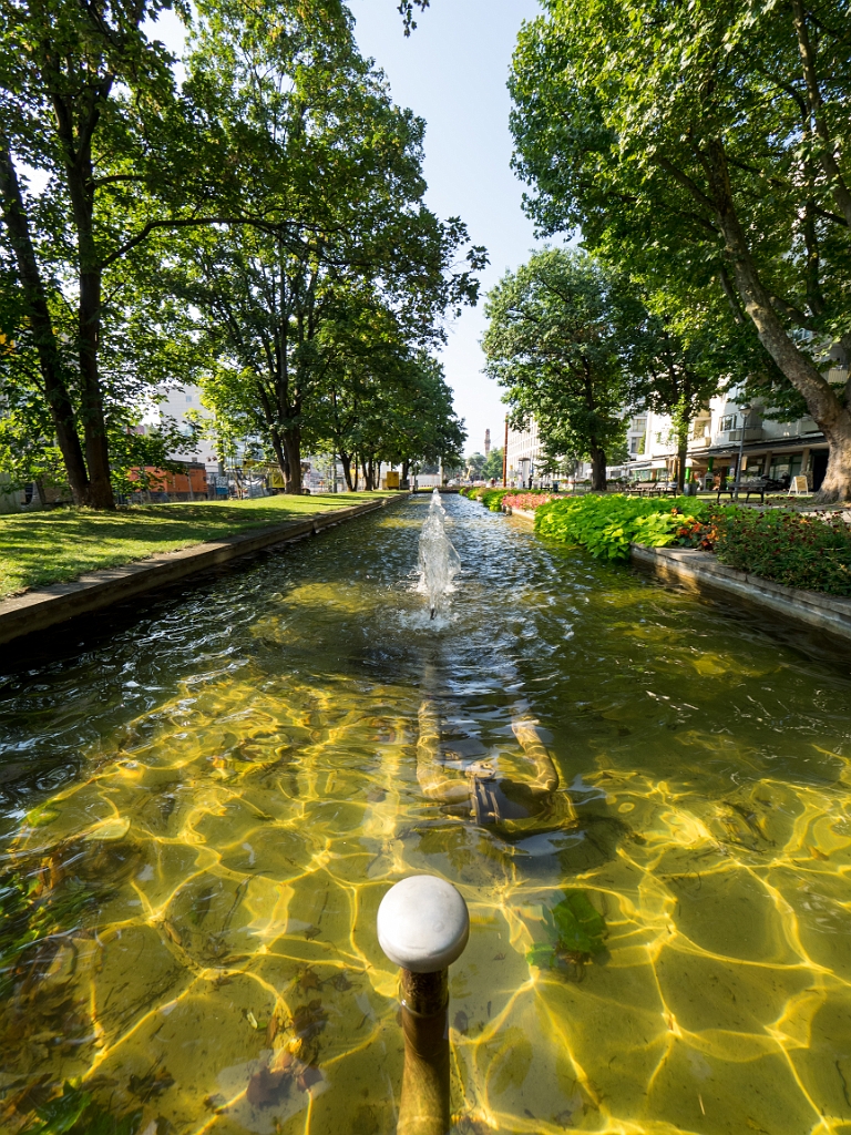 P8222145.jpg - OLYMPUS DIGITAL CAMERA