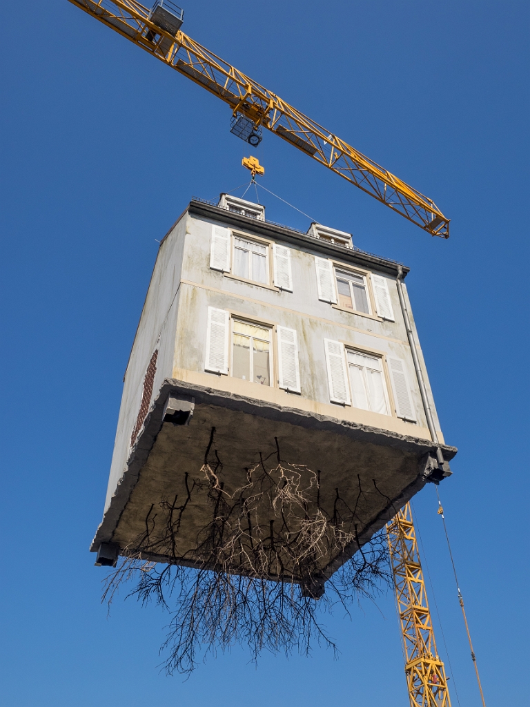 P8222183.jpg - OLYMPUS DIGITAL CAMERA