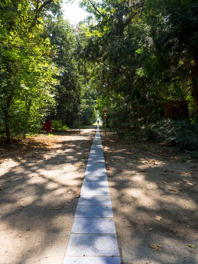 P8222297.jpg - OLYMPUS DIGITAL CAMERA