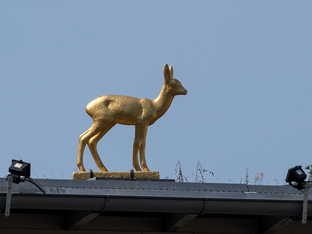 P8222307.jpg - OLYMPUS DIGITAL CAMERA