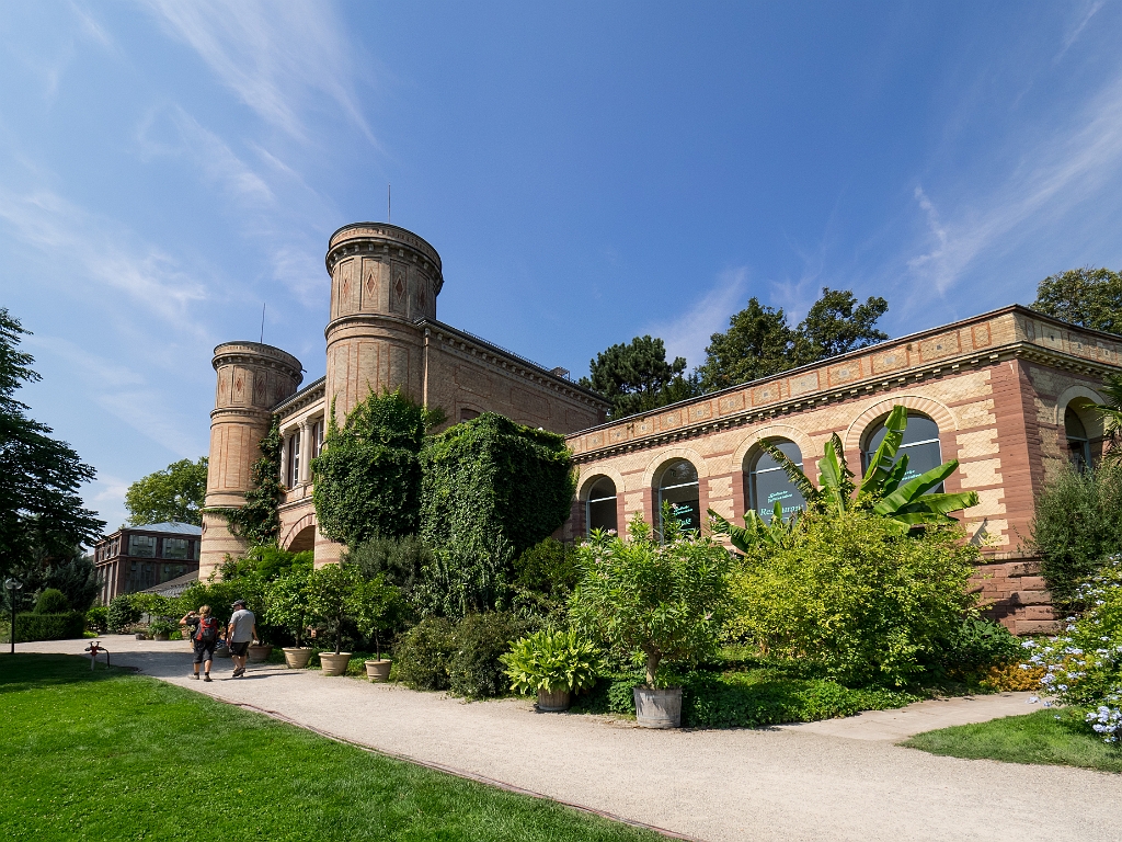 P8222363.jpg - OLYMPUS DIGITAL CAMERA