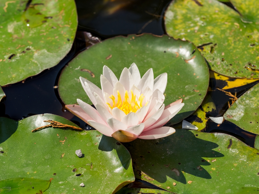 P8222382.jpg - OLYMPUS DIGITAL CAMERA