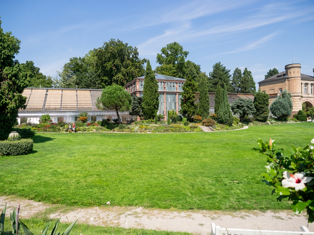 P8222392.jpg - OLYMPUS DIGITAL CAMERA