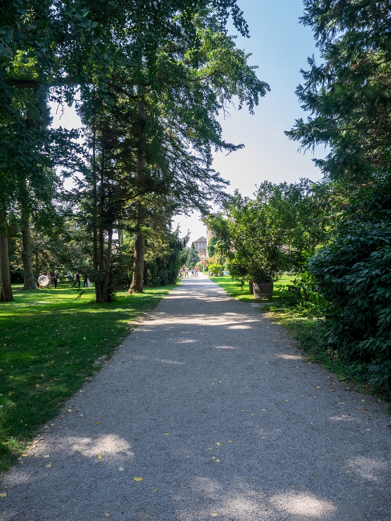 P8222418.jpg - OLYMPUS DIGITAL CAMERA