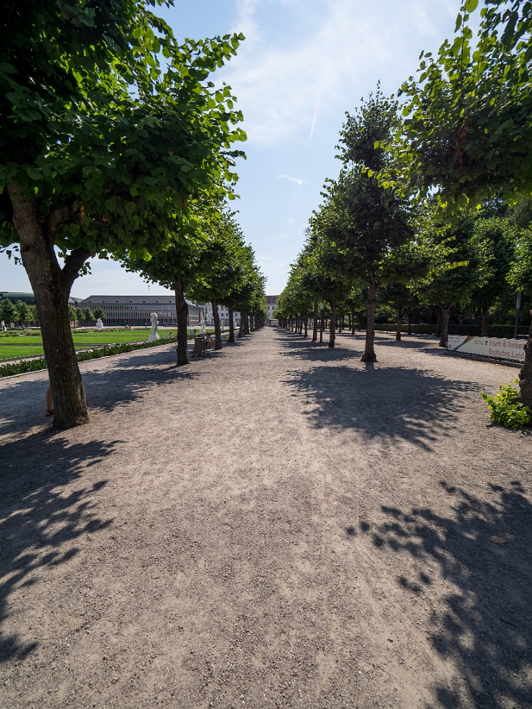 P8222427.jpg - OLYMPUS DIGITAL CAMERA