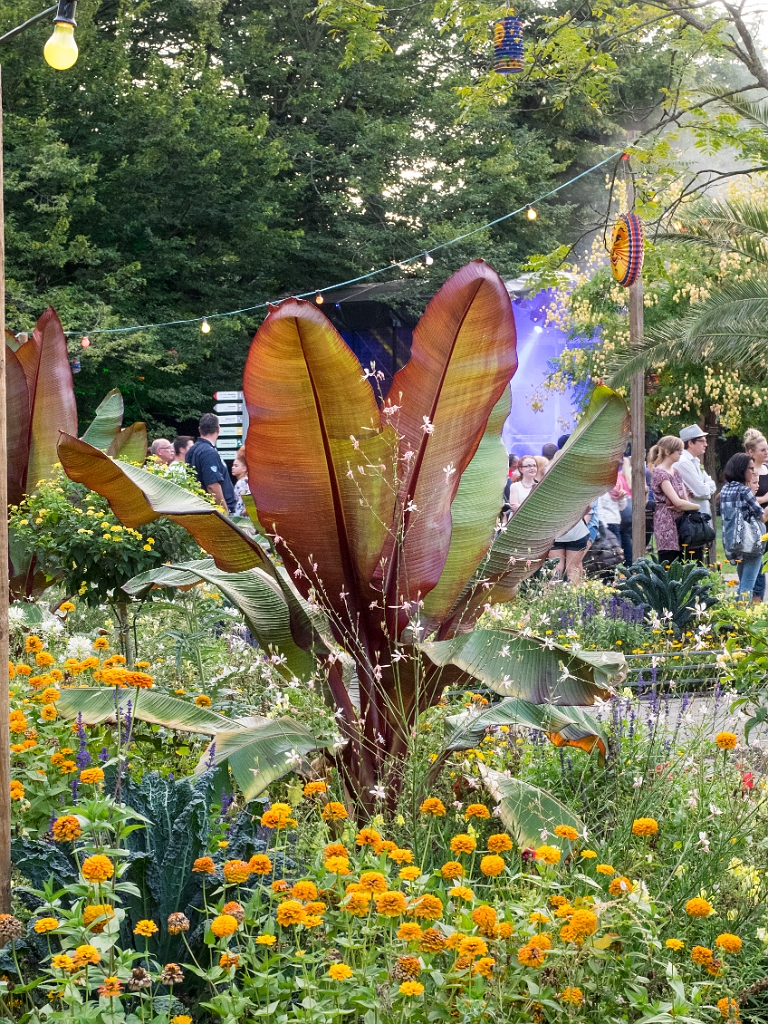 P8222473.jpg - OLYMPUS DIGITAL CAMERA