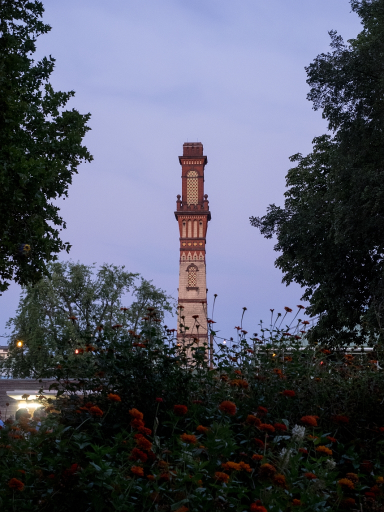 P8222495.jpg - OLYMPUS DIGITAL CAMERA