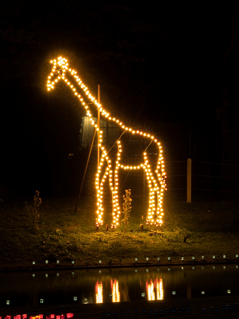 P8222550.jpg - OLYMPUS DIGITAL CAMERA