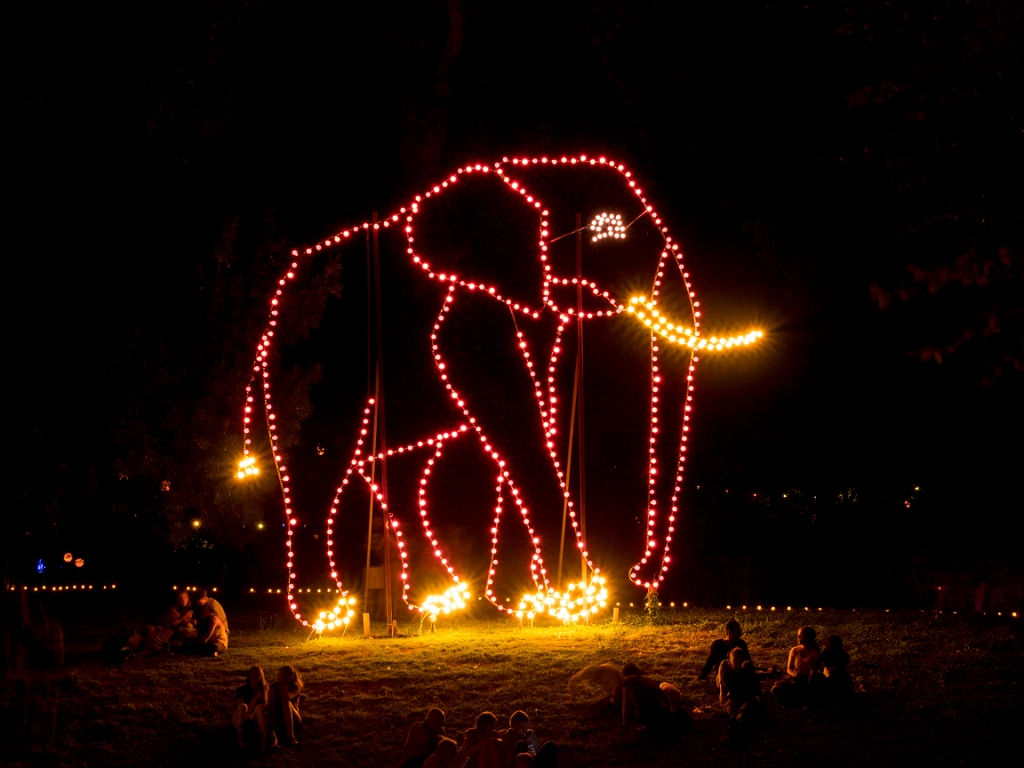 P8222554.jpg - OLYMPUS DIGITAL CAMERA