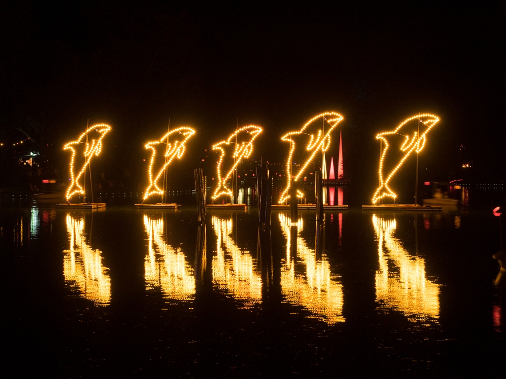 P8222585.jpg - OLYMPUS DIGITAL CAMERA