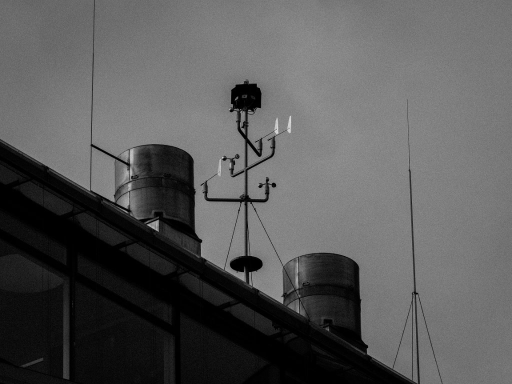 PC268918.jpg - OLYMPUS DIGITAL CAMERA