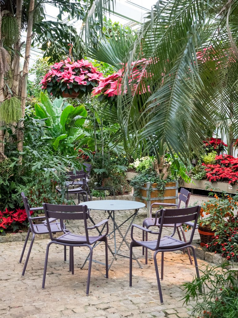 PC279061.jpg - OLYMPUS DIGITAL CAMERA