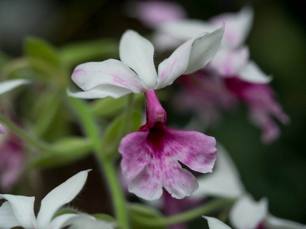 PC279076.jpg - OLYMPUS DIGITAL CAMERA