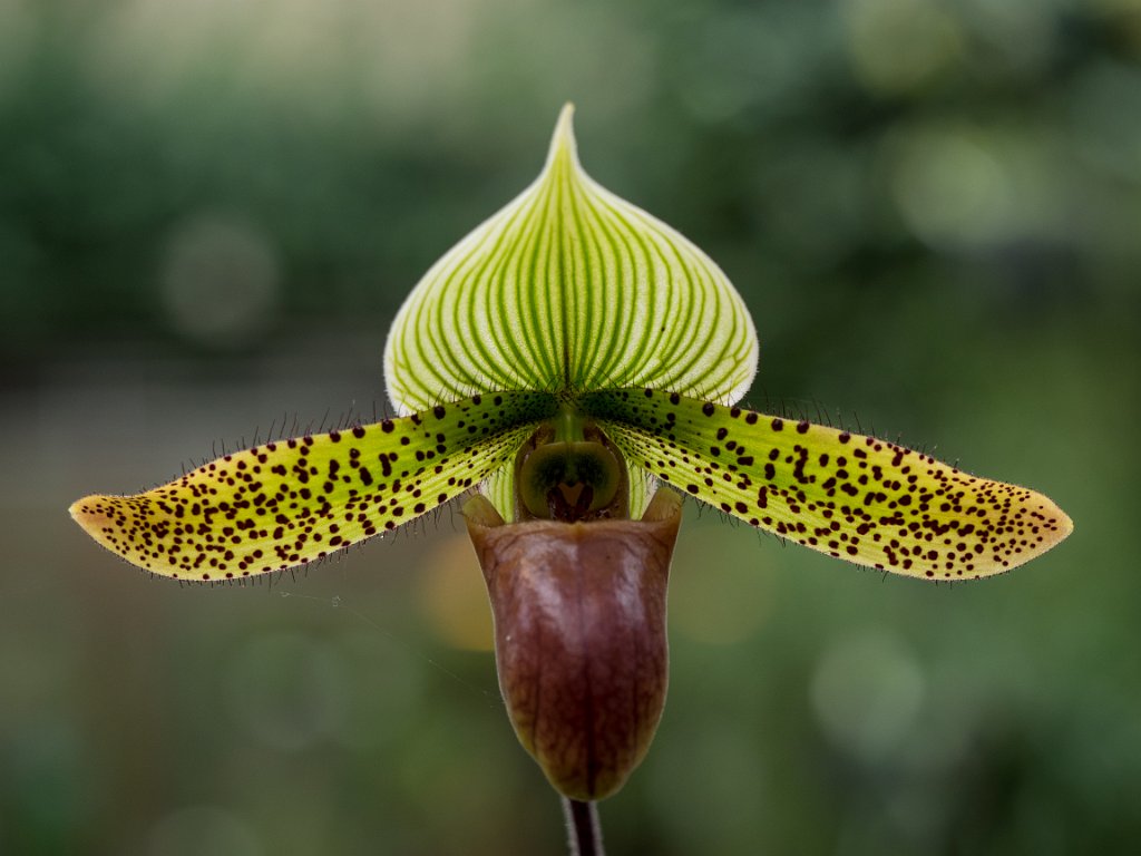 PC279081.jpg - OLYMPUS DIGITAL CAMERA