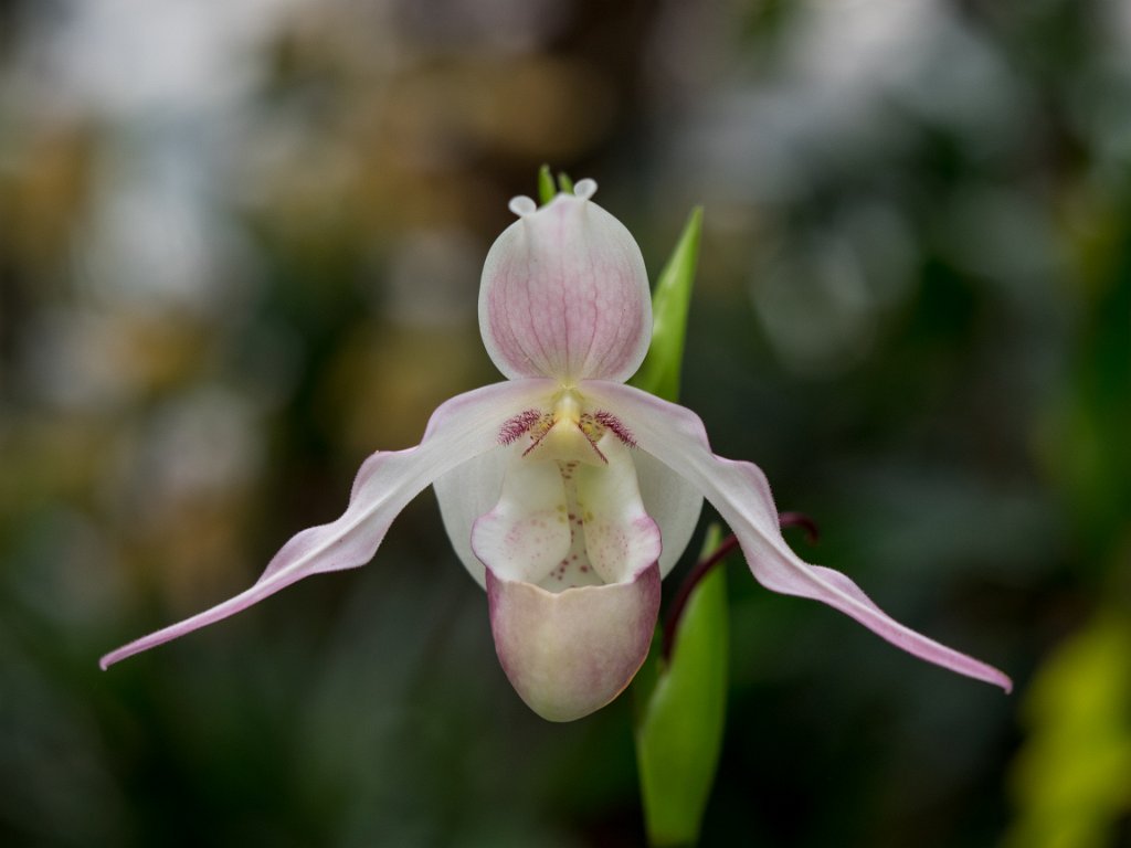 PC279084.jpg - OLYMPUS DIGITAL CAMERA