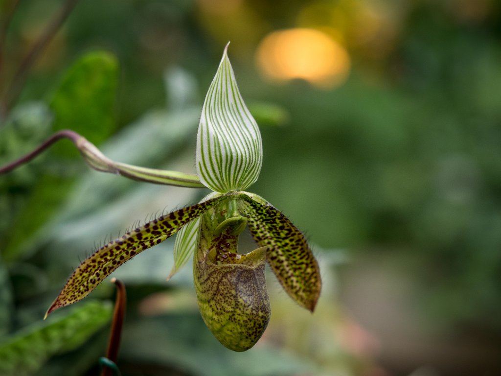 PC279087.jpg - OLYMPUS DIGITAL CAMERA