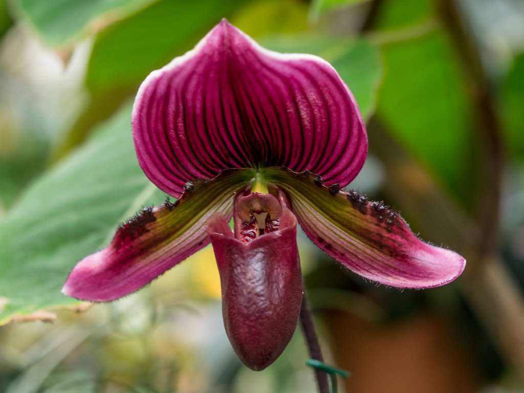 PC279090.jpg - OLYMPUS DIGITAL CAMERA