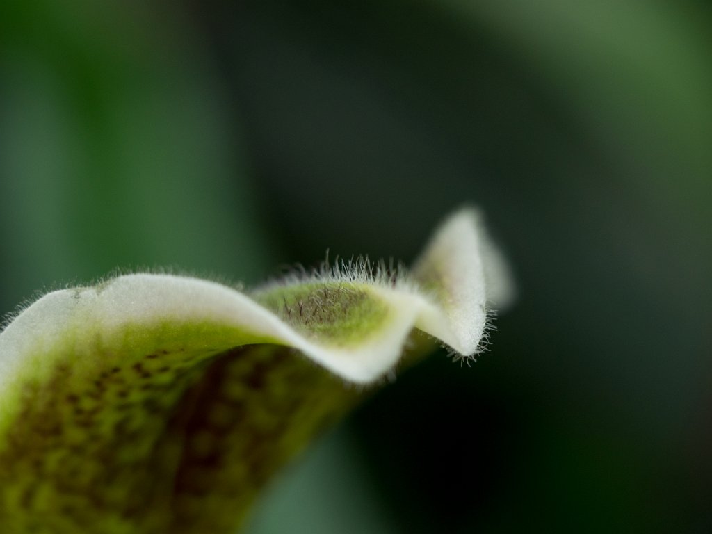 PC279097.jpg - OLYMPUS DIGITAL CAMERA