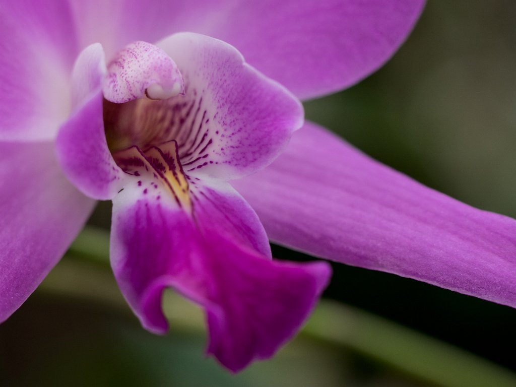 PC279120.jpg - OLYMPUS DIGITAL CAMERA