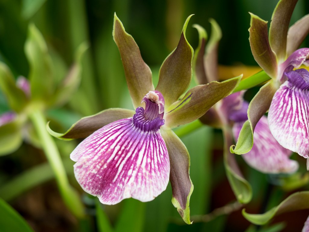 PC279157.jpg - OLYMPUS DIGITAL CAMERA