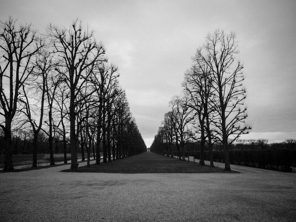 PC279389.jpg - OLYMPUS DIGITAL CAMERA