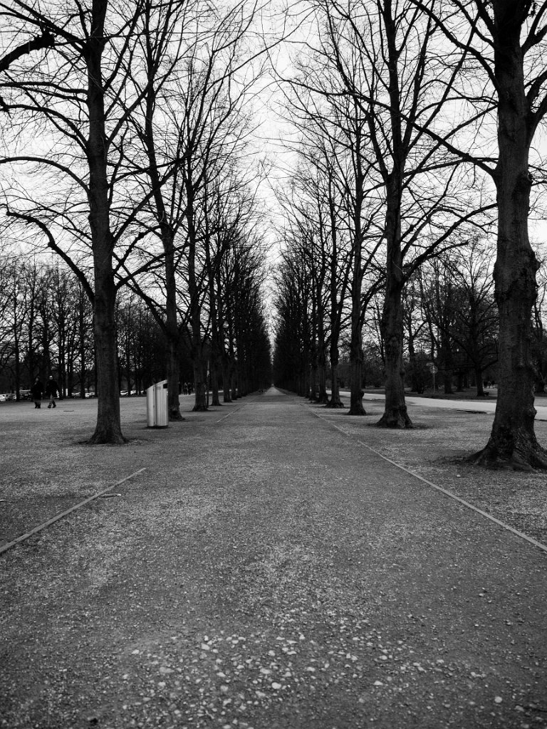 PC279393.jpg - OLYMPUS DIGITAL CAMERA