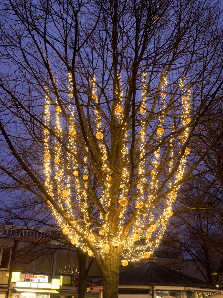 PC279453.jpg - OLYMPUS DIGITAL CAMERA